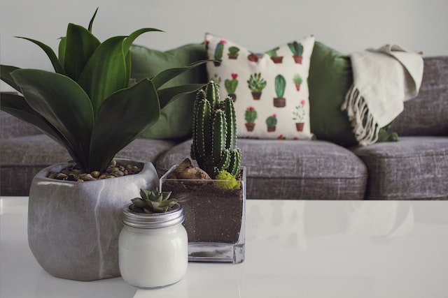 DIY Woonideeën: Creatieve Projecten voor een Persoonlijk Tintje